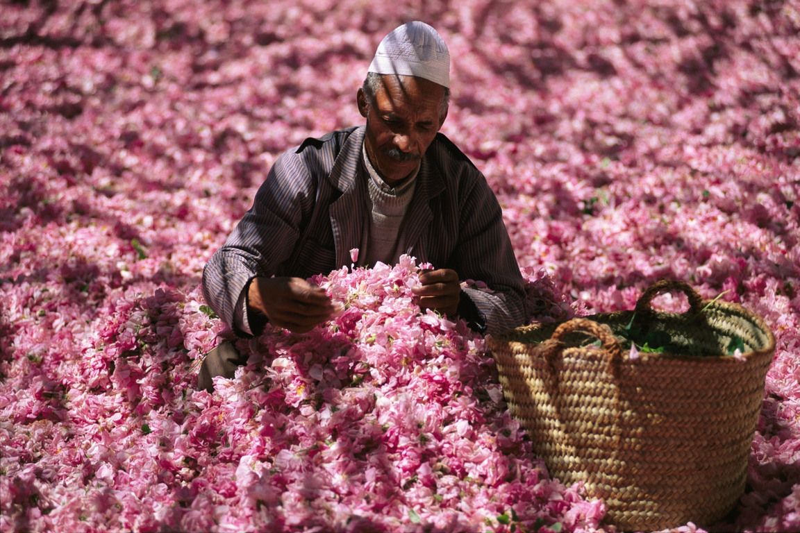 Kelaat mgouna and the valley of roses